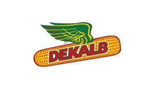 Semillas dekalb